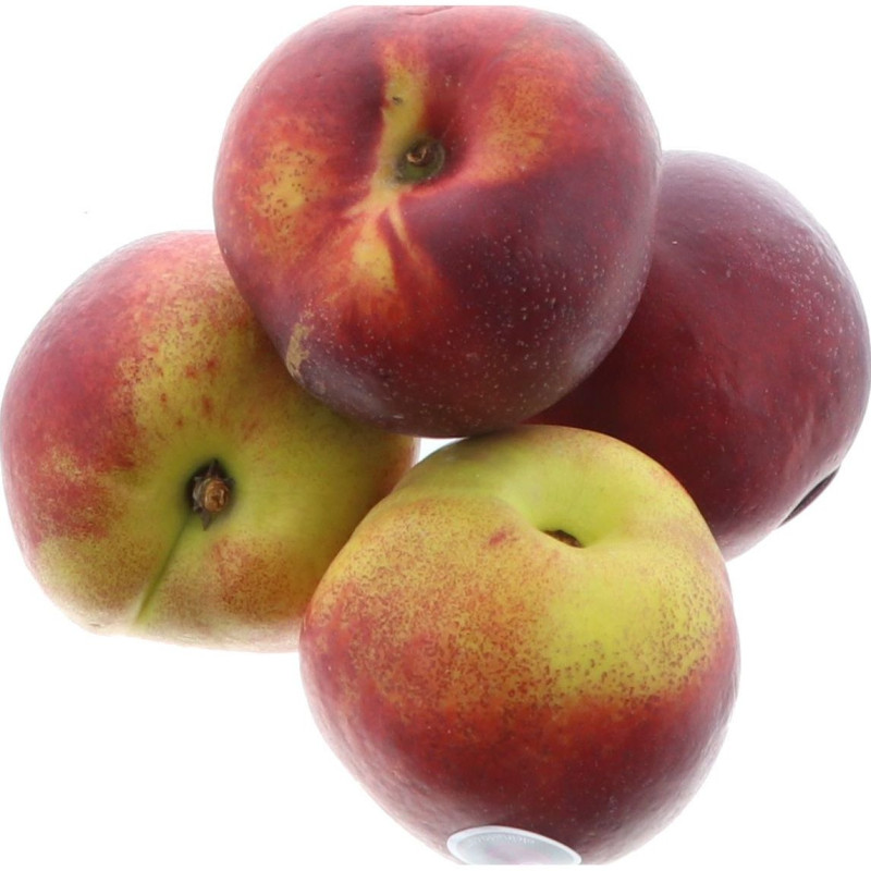 NECTARINE JAUNE EL CIRUELO 10X1KG
